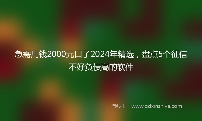 急需用钱2000元口子2024年精选，盘点5个征信不好负债高的软件
