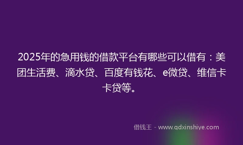 2025年的急用钱的借款平台有哪些可以借有:美团生活费、滴水贷、百度有钱花、e微贷、维信卡卡贷等。