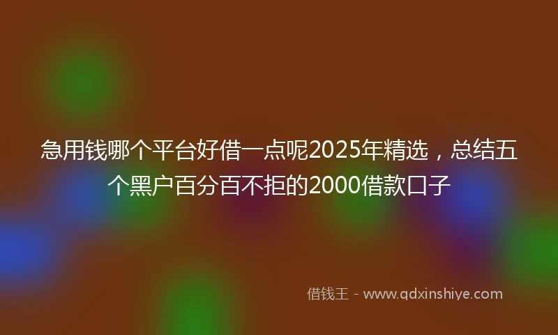 急用钱哪个平台好借一点呢2025年精选，总结五个黑户百分百不拒的2000借款口子