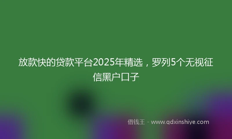 放款快的贷款平台2025年精选，罗列5个无视征信黑户口子
