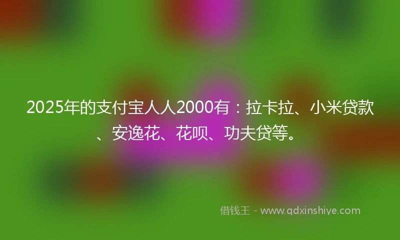 2025年的支付宝人人2000有：拉卡拉、小米贷款、安逸花、花呗、功夫贷等。