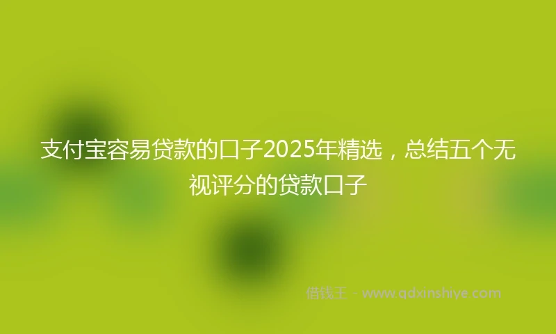 支付宝容易贷款的口子2025年精选，总结五个无视评分的贷款口子