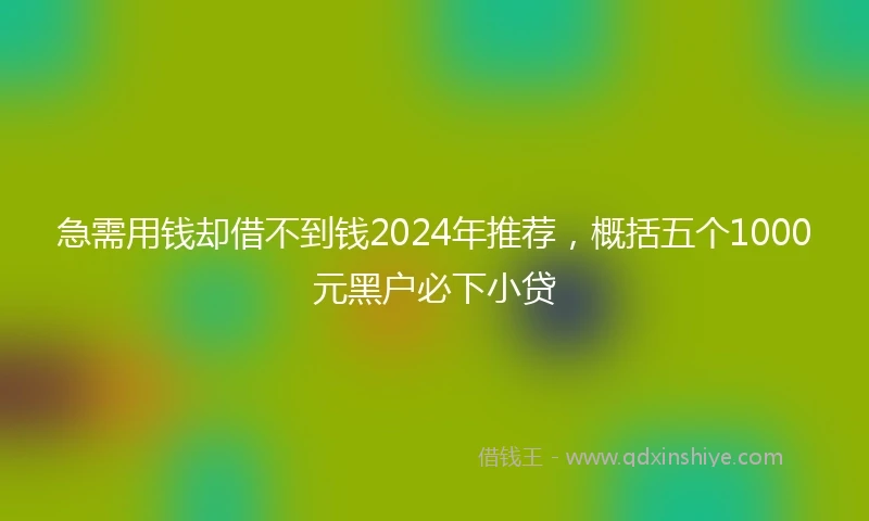 急需用钱却借不到钱2024年推荐，概括五个1000元黑户必下小贷