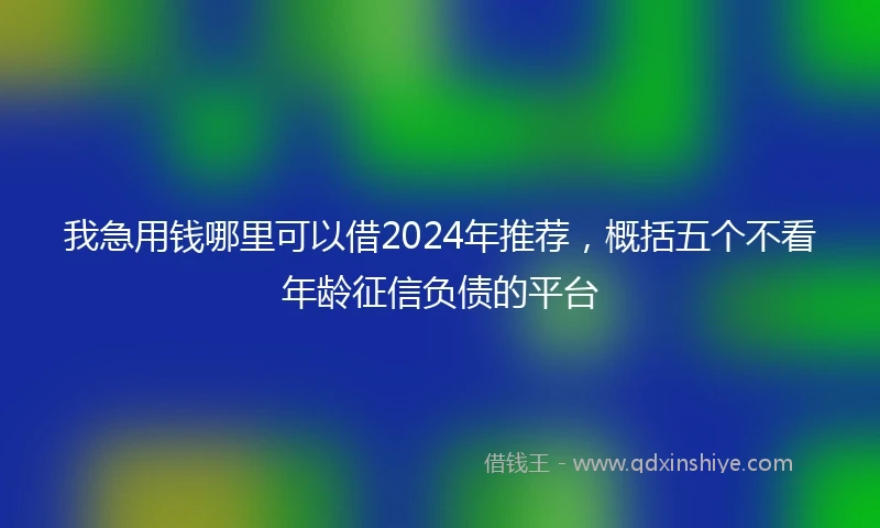 我急用钱哪里可以借2024年推荐，概括五个不看年龄征信负债的平台