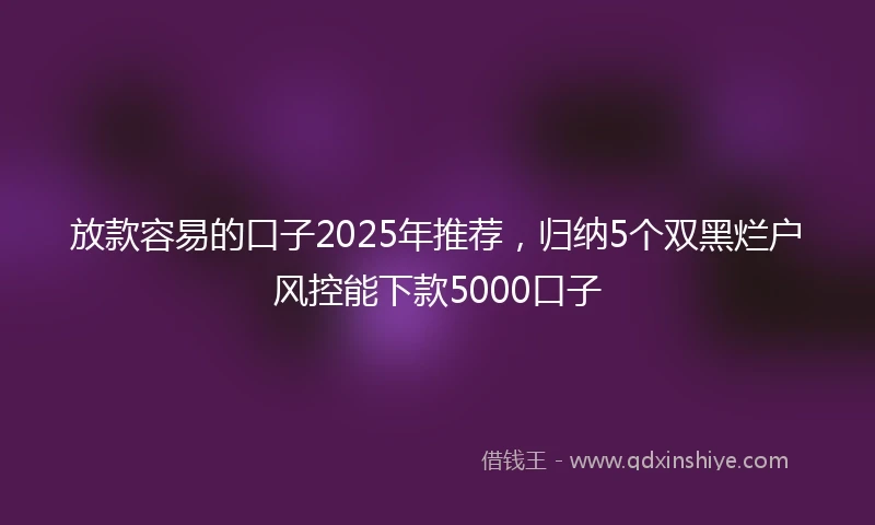 放款容易的口子2025年推荐，归纳5个双黑烂户风控能下款5000口子