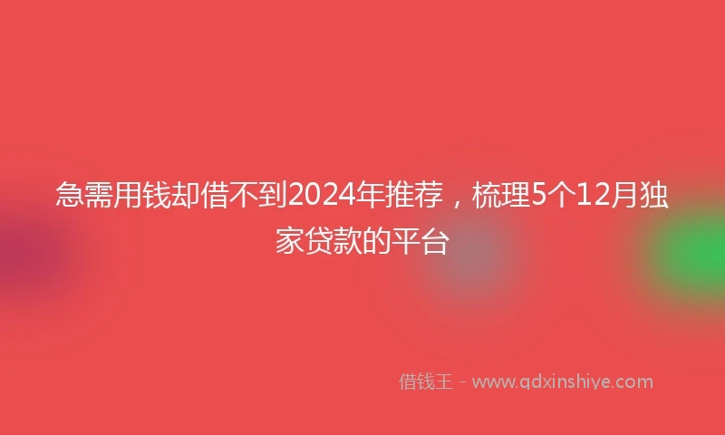 急需用钱却借不到2024年推荐，梳理5个12月独家贷款的平台