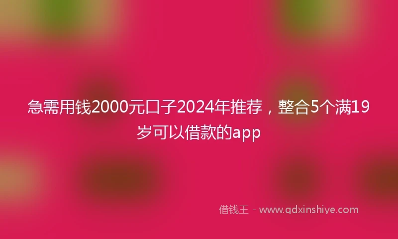 急需用钱2000元口子2024年推荐，整合5个满19岁可以借款的app