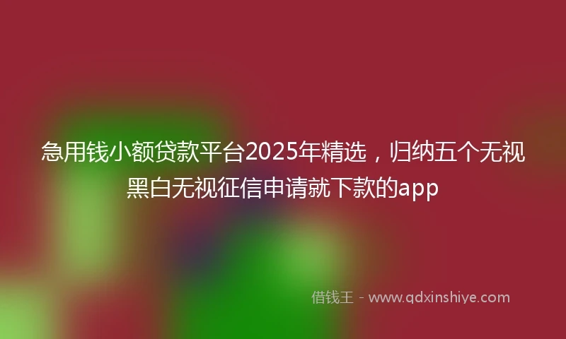 急用钱小额贷款平台2025年精选，归纳五个无视黑白无视征信申请就下款的app
