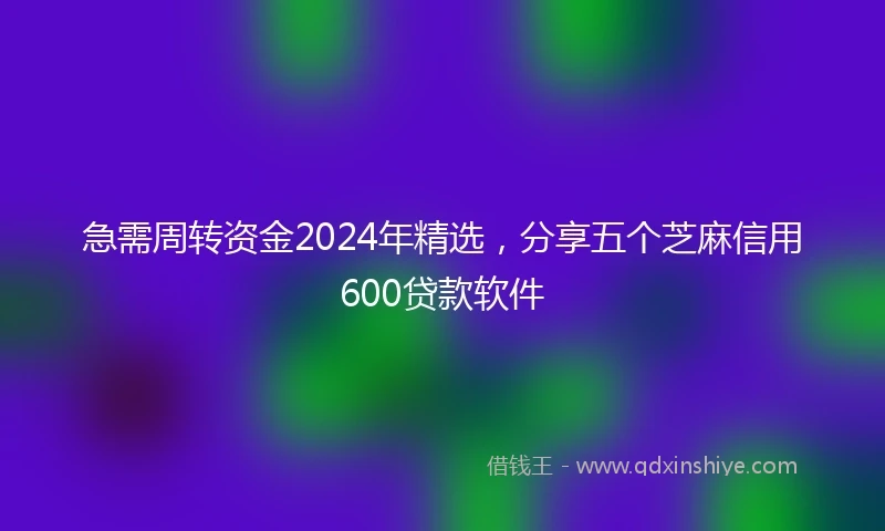 急需周转资金2024年精选，分享五个芝麻信用600贷款软件