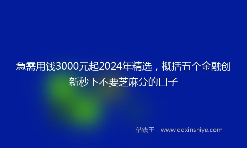 急需用钱3000元起2024年精选，概括五个金融创新秒下不要芝麻分的口子