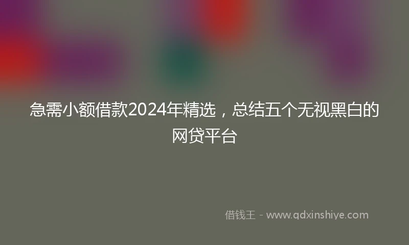急需小额借款2024年精选，总结五个无视黑白的网贷平台