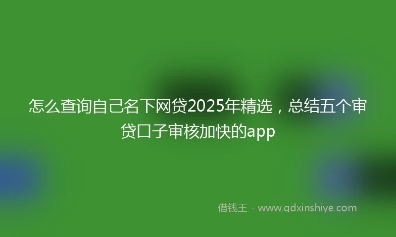 怎么查询自己名下网贷2025年精选，总结五个审贷口子审核加快的app