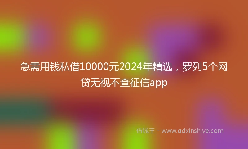 急需用钱私借10000元2024年精选，罗列5个网贷无视不查征信app
