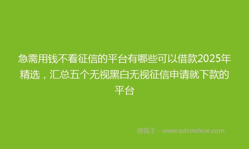 急需用钱不看征信的平台有哪些可以借款2025年精选，汇总五个无视黑白无视征信申请就下款的平台