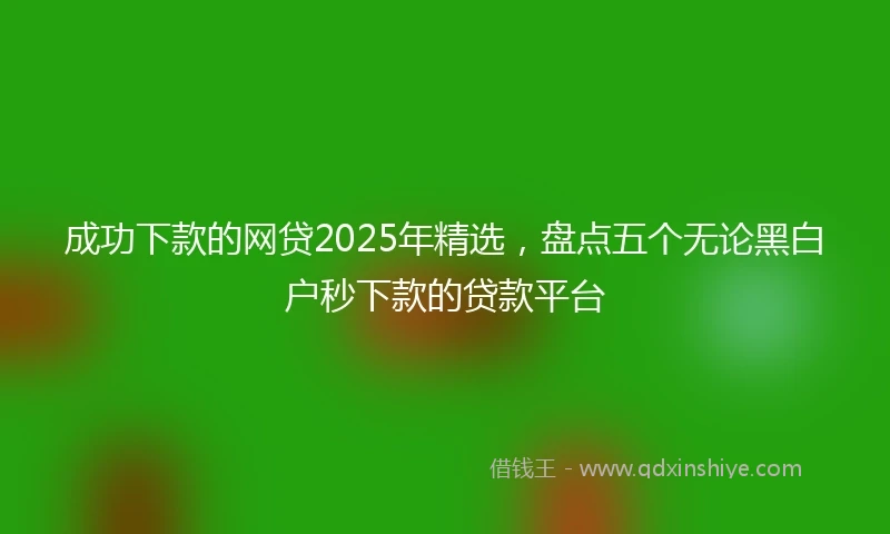 成功下款的网贷2025年精选，盘点五个无论黑白户秒下款的贷款平台