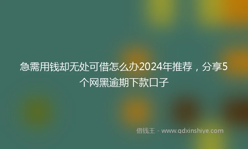 急需用钱却无处可借怎么办2024年推荐，分享5个网黑逾期下款口子