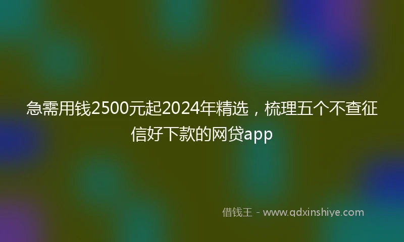 急需用钱2500元起2024年精选，梳理五个不查征信好下款的网贷app