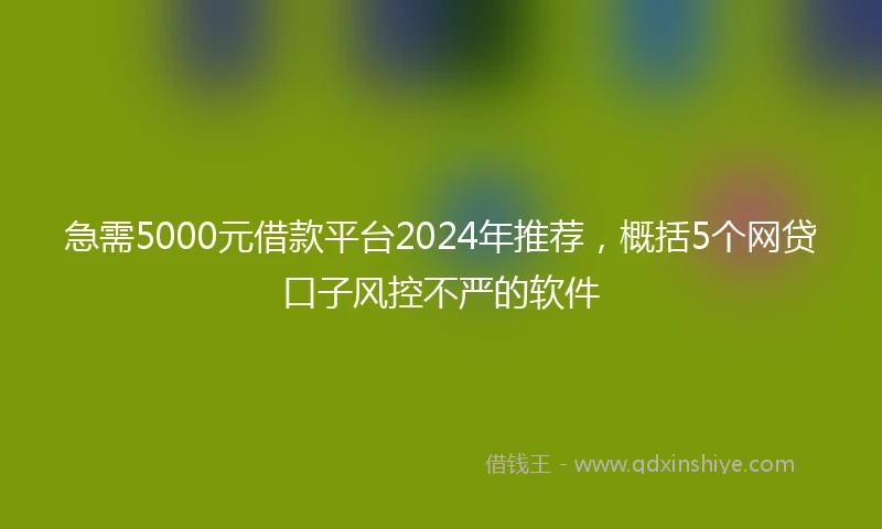 急需5000元借款平台2024年推荐，概括5个网贷口子风控不严的软件