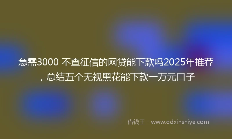 急需3000 不查征信的网贷能下款吗2025年推荐，总结五个无视黑花能下款一万元口子