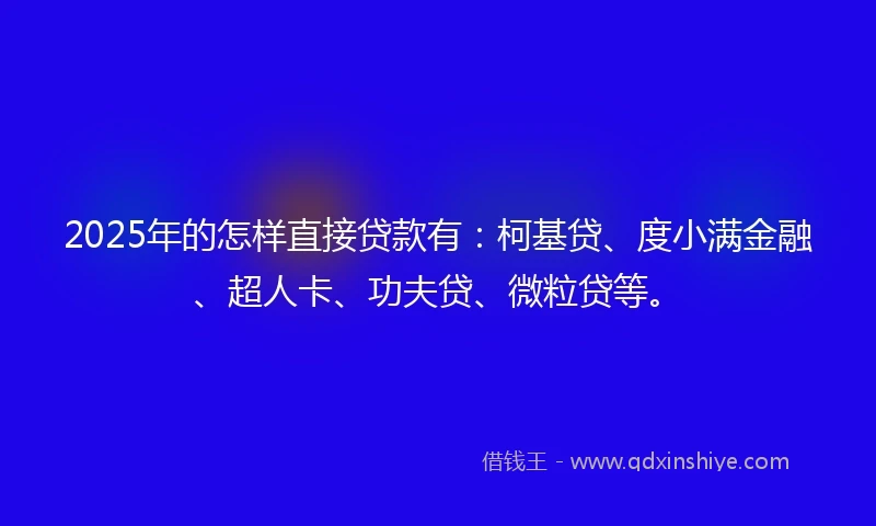 2025年的怎样直接贷款有：柯基贷、度小满金融、超人卡、功夫贷、微粒贷等。