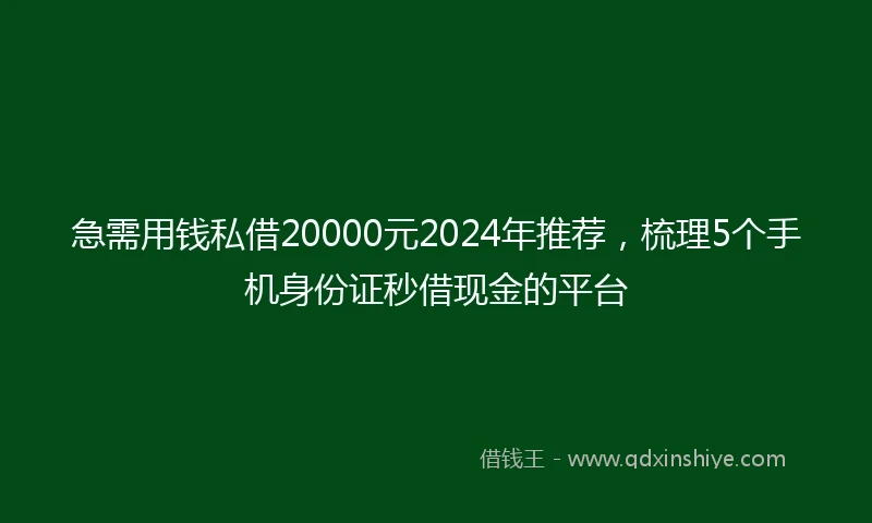急需用钱私借20000元2024年推荐，梳理5个手机身份证秒借现金的平台