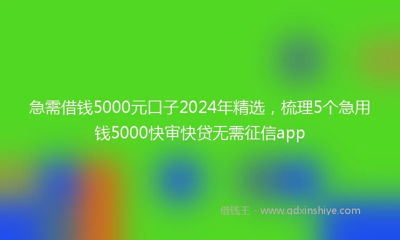 急需借钱5000元口子2024年精选，梳理5个急用钱5000快审快贷无需征信app