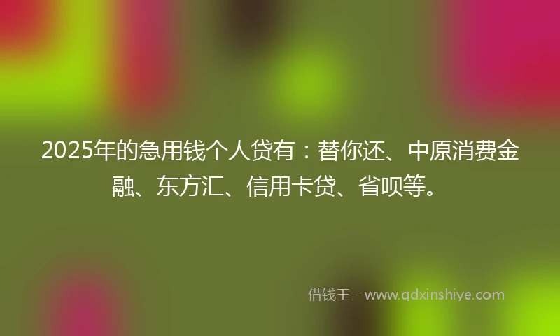2025年的急用钱个人贷有：替你还、中原消费金融、东方汇、信用卡贷、省呗等。