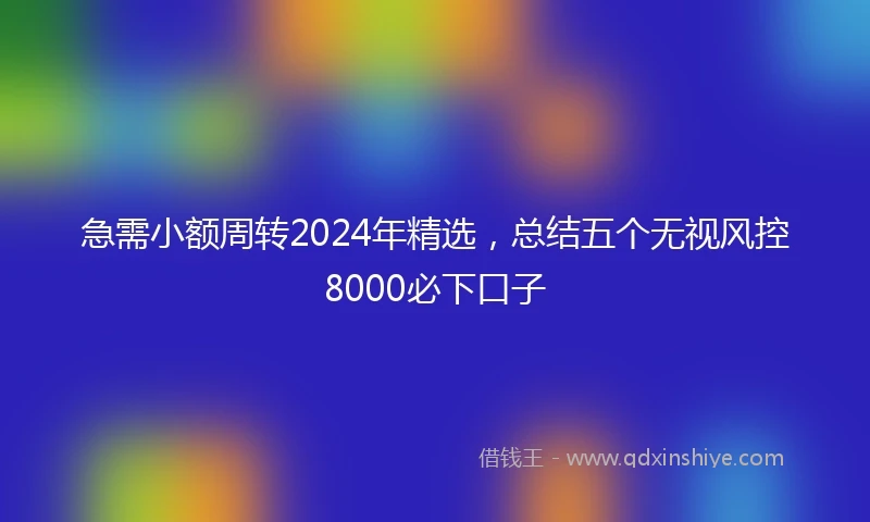 急需小额周转2024年精选，总结五个无视风控8000必下口子