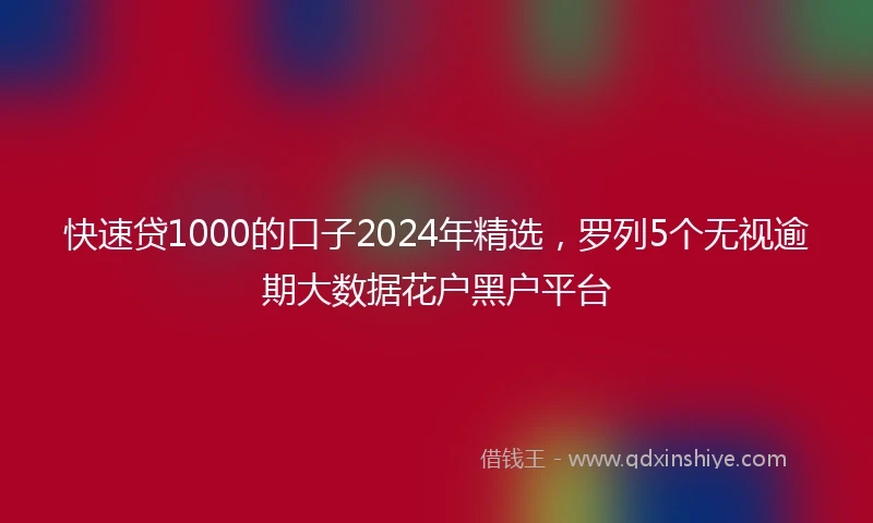 快速贷1000的口子2024年精选，罗列5个无视逾期大数据花户黑户平台