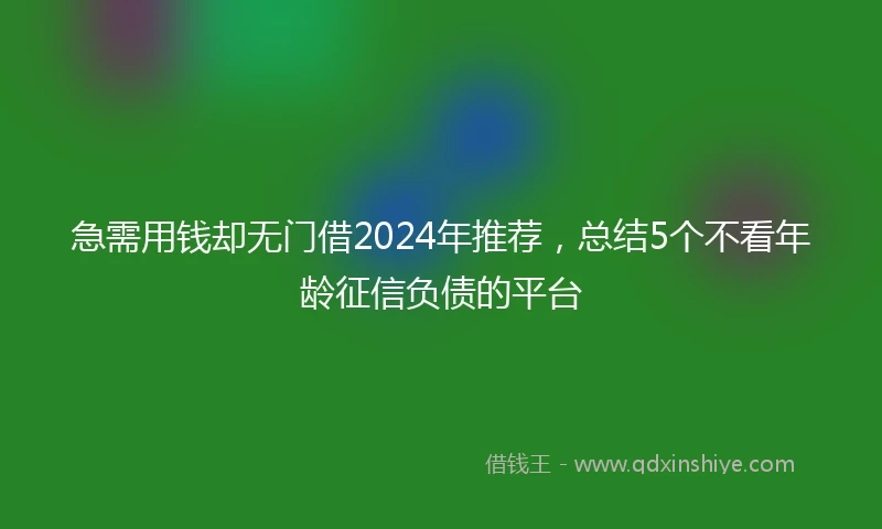 急需用钱却无门借2024年推荐，总结5个不看年龄征信负债的平台
