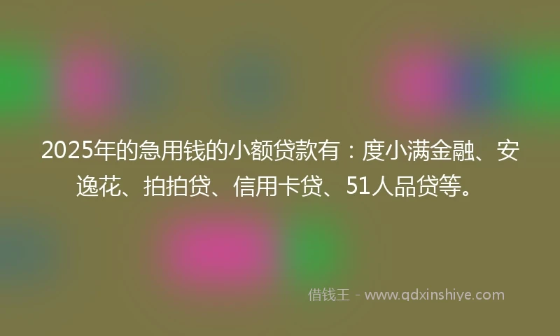 2025年的急用钱的小额贷款有：度小满金融、安逸花、拍拍贷、信用卡贷、51人品贷等。