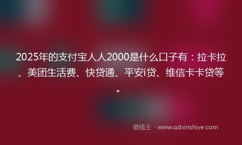 2025年的支付宝人人2000是什么口子有：拉卡拉、美团生活费、快贷通、平安i贷、维信卡卡贷等。