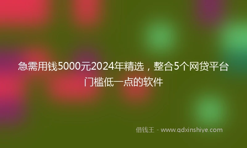 急需用钱5000元2024年精选，整合5个网贷平台门槛低一点的软件