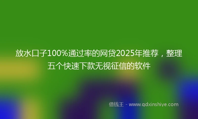 放水口子100%通过率的网贷2025年推荐，整理五个快速下款无视征信的软件