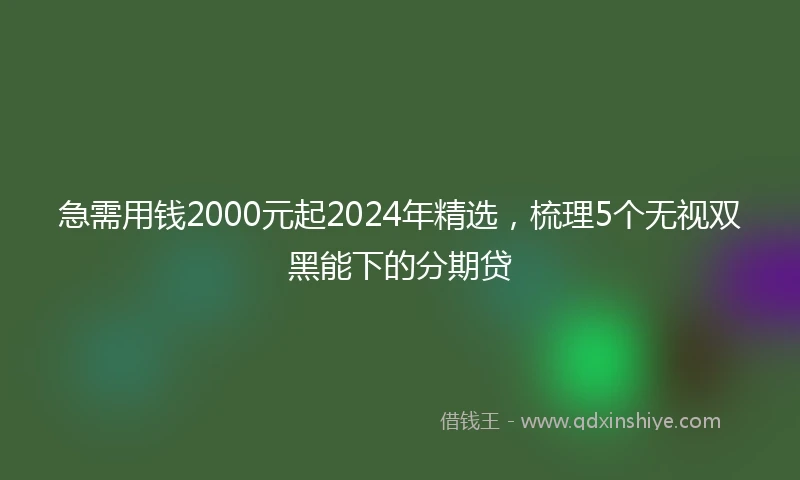 急需用钱2000元起2024年精选，梳理5个无视双黑能下的分期贷