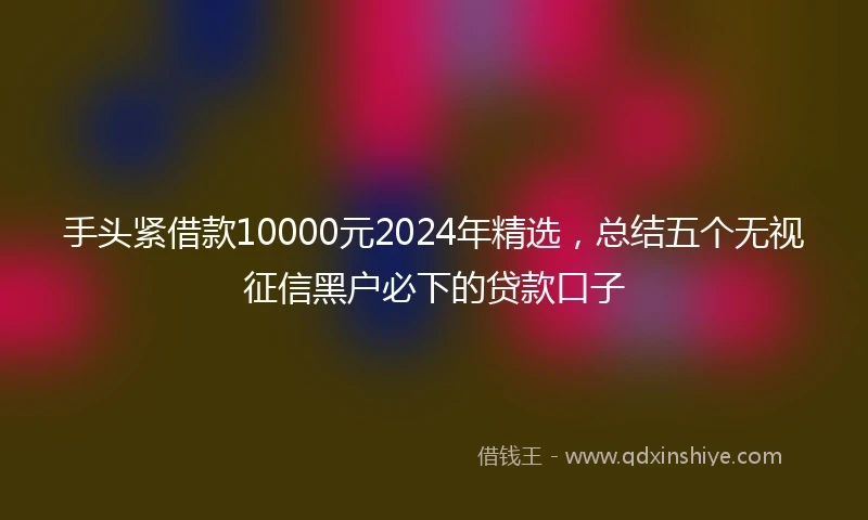 手头紧借款10000元2024年精选，总结五个无视征信黑户必下的贷款口子