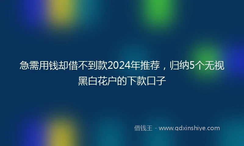 急需用钱却借不到款2024年推荐，归纳5个无视黑白花户的下款口子