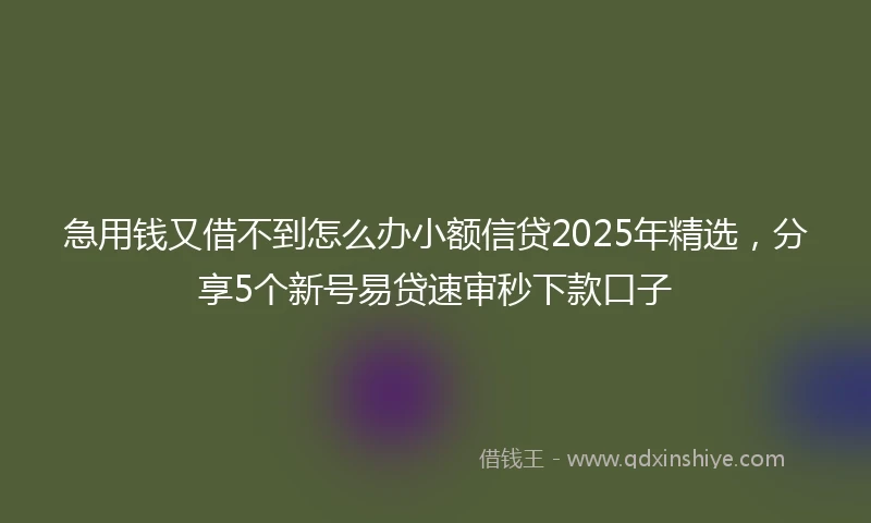 急用钱又借不到怎么办小额信贷2025年精选，分享5个新号易贷速审秒下款口子