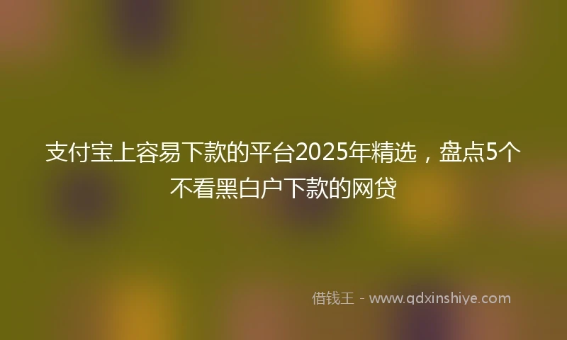支付宝上容易下款的平台2025年精选，盘点5个不看黑白户下款的网贷