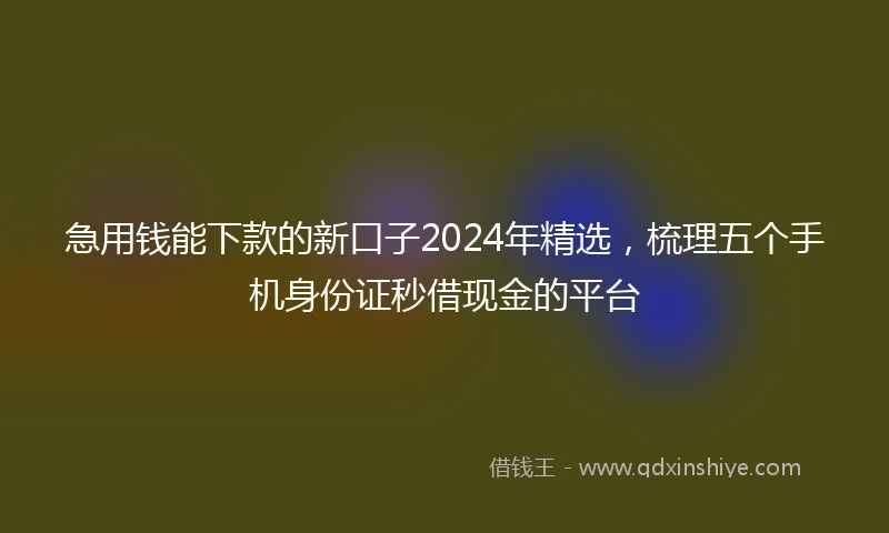 急用钱能下款的新口子2024年精选，梳理五个手机身份证秒借现金的平台