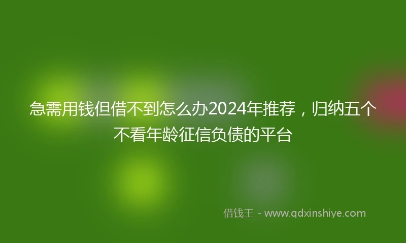 急需用钱但借不到怎么办2024年推荐，归纳五个不看年龄征信负债的平台