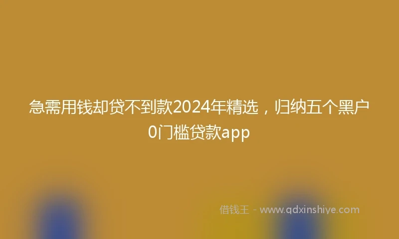 急需用钱却贷不到款2024年精选，归纳五个黑户0门槛贷款app