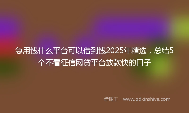 急用钱什么平台可以借到钱2025年精选,总结5个不看征信网贷平台放款快的口子