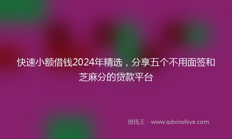 快速小额借钱2024年精选，分享五个不用面签和芝麻分的贷款平台