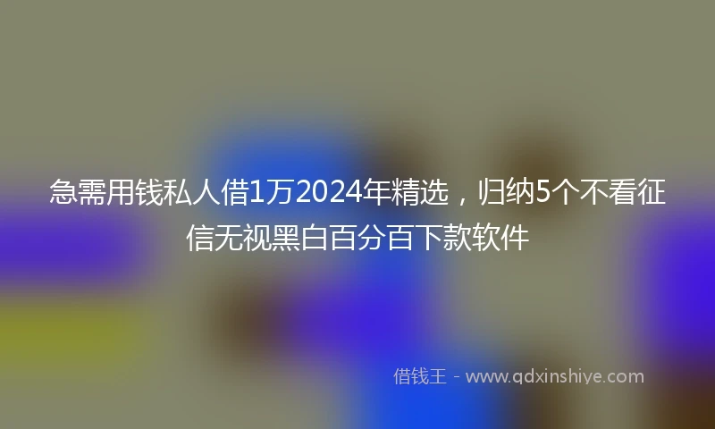 急需用钱私人借1万2024年精选，归纳5个不看征信无视黑白百分百下款软件