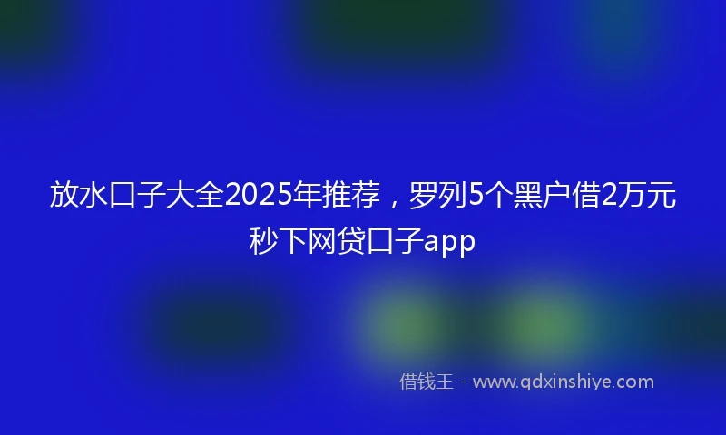 放水口子大全2025年推荐，罗列5个黑户借2万元秒下网贷口子app