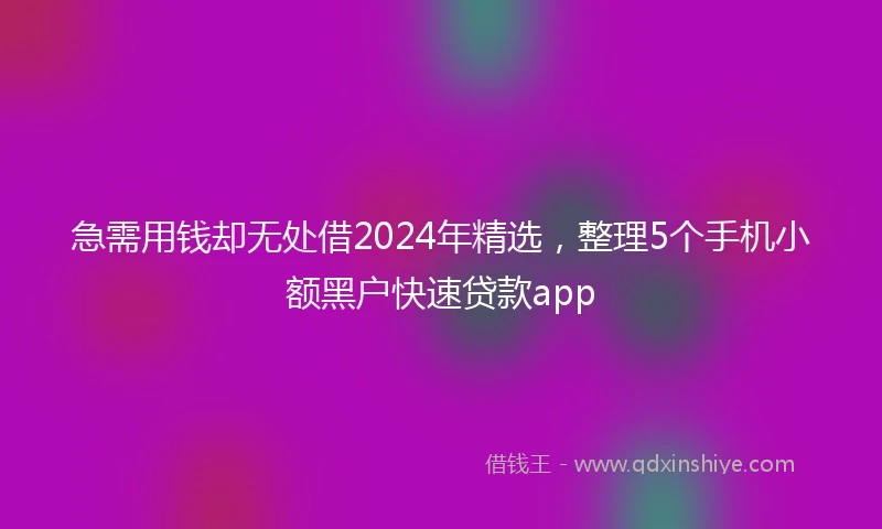 急需用钱却无处借2024年精选，整理5个手机小额黑户快速贷款app