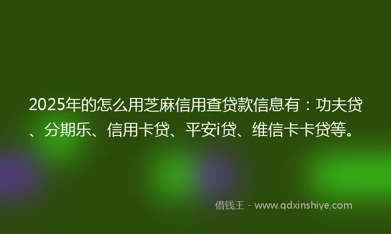2025年的怎么用芝麻信用查贷款信息有：功夫贷、分期乐、信用卡贷、平安i贷、维信卡卡贷等。