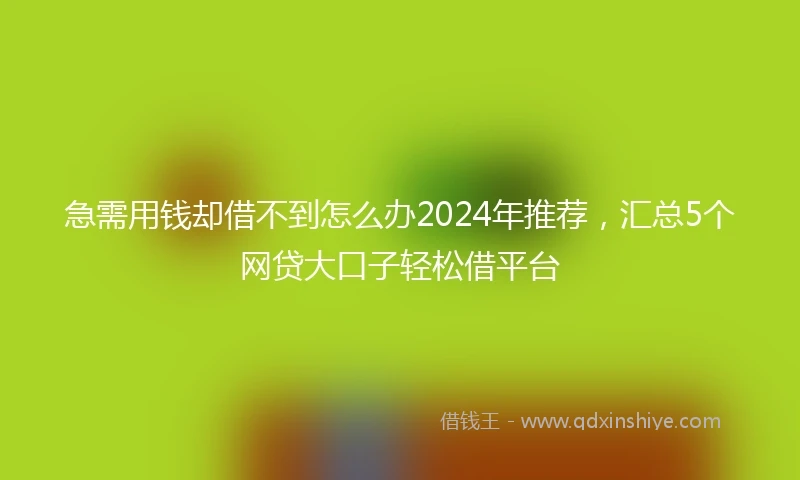 急需用钱却借不到怎么办2024年推荐，汇总5个网贷大口子轻松借平台