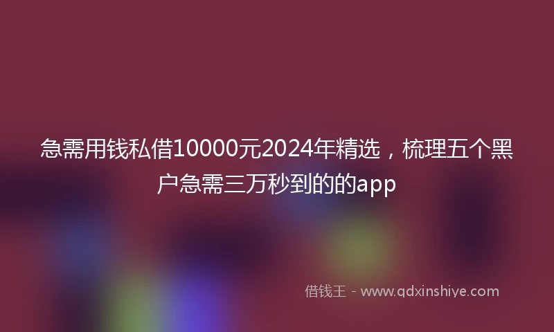 急需用钱私借10000元2024年精选，梳理五个黑户急需三万秒到的的app